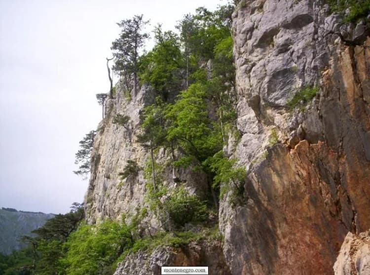 Pošumljeni krečnjački zidovi iznad pivskog pejzaža