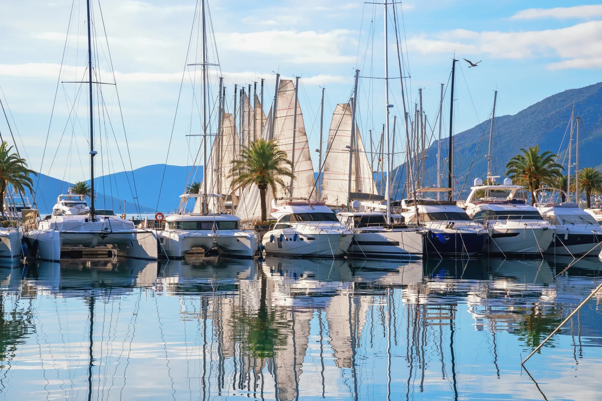 The Billions Reshaping Montenegro's Coast: Hotels, Marinas and the Road to 2028