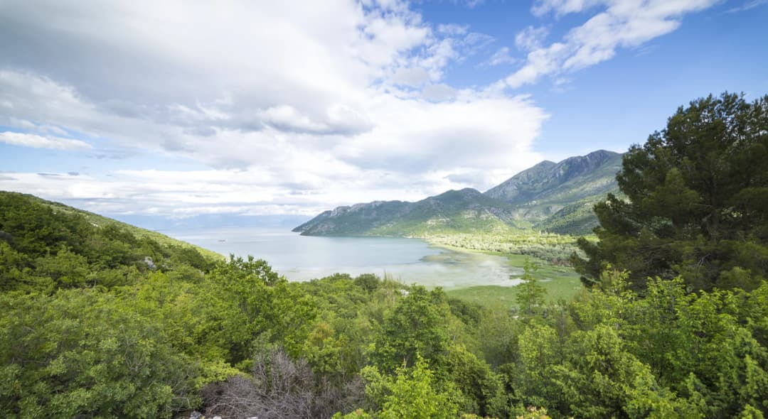 The village of Virpazar at the edge of Lake Skadar, with its bridge and small boats moored along the waterfront