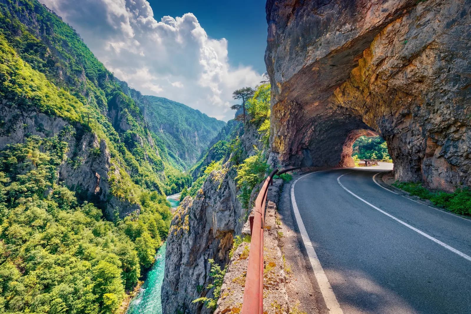 Piva