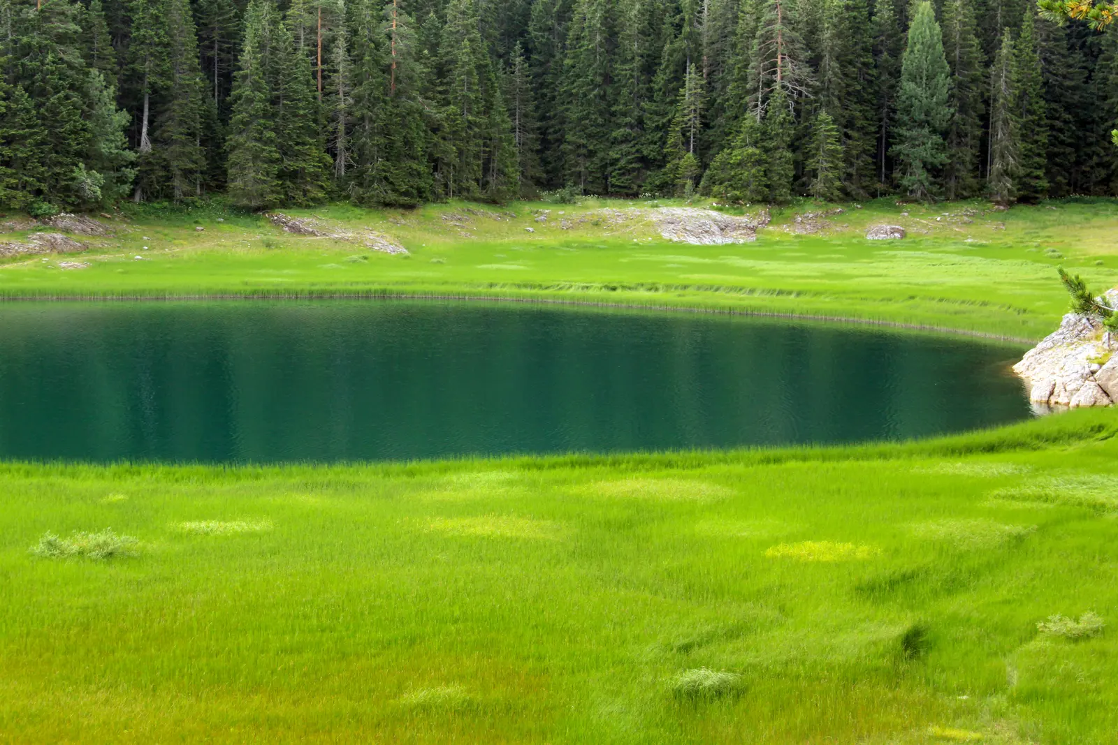 Durmitor Black Lake, Montenegro