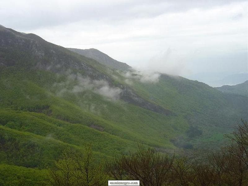 Planinarenje na Lovćenu