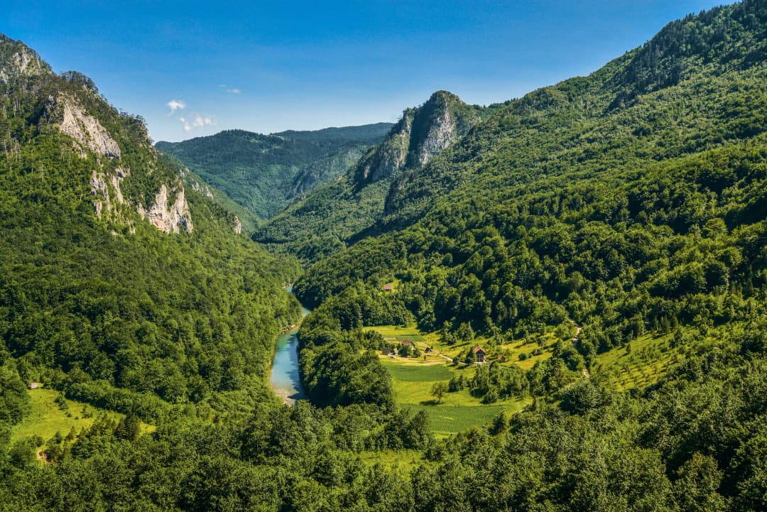 Pošumljene strane koje se obrušavaju u kanjon Tare na sjeveru Crne Gore