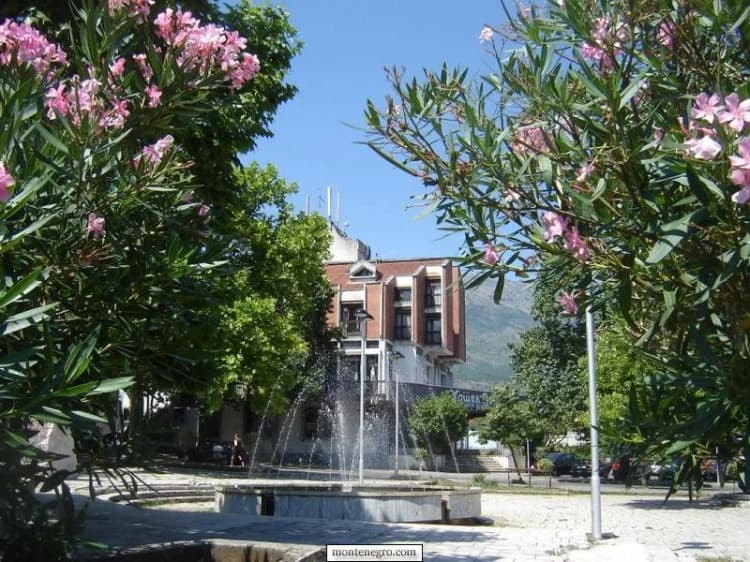 Fontana i javne zgrade u sjenovitom centru Danilovgrada