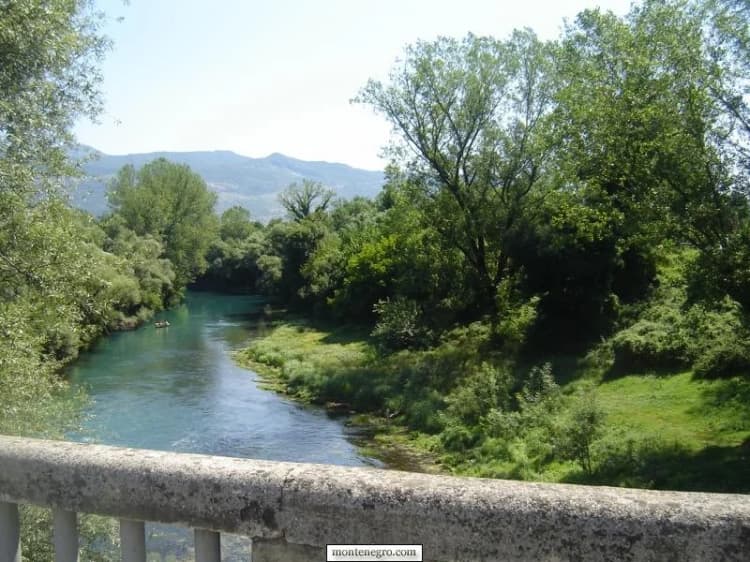 Rijeka Zeta i pošumljene obale, pogled s mosta kod Danilovgrada