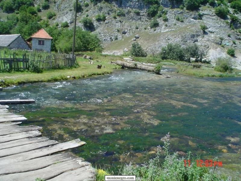 Bistri kanali razliveni po livadi na Ali-pašinim izvorima