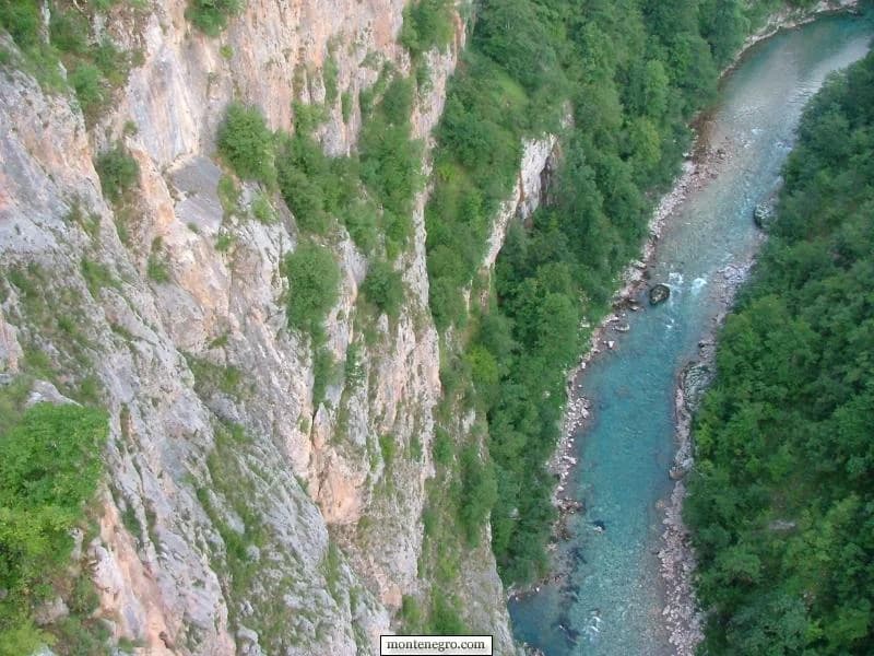 Smaragdni riječni bazen ispod pošumljenih strana u uskom kanjonu u Montenegru