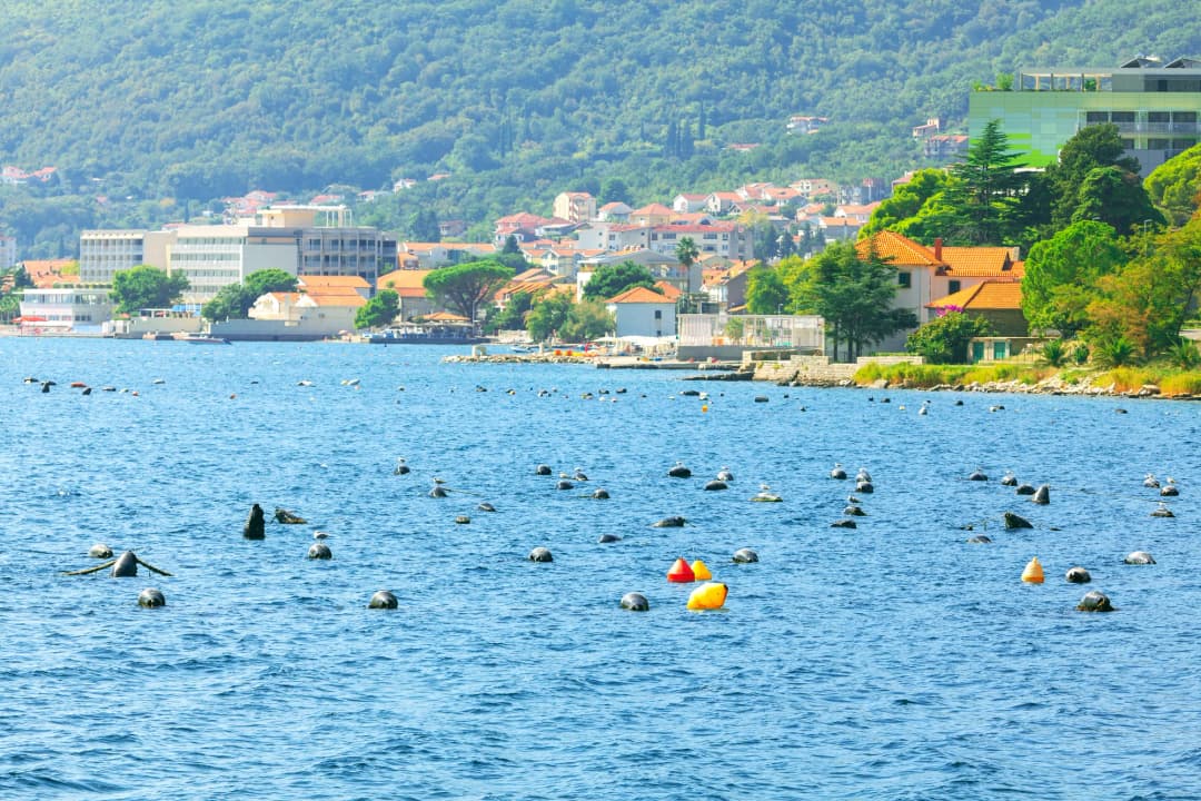 Redovi bova za uzgajališta na pučini u Boki kod Bijele