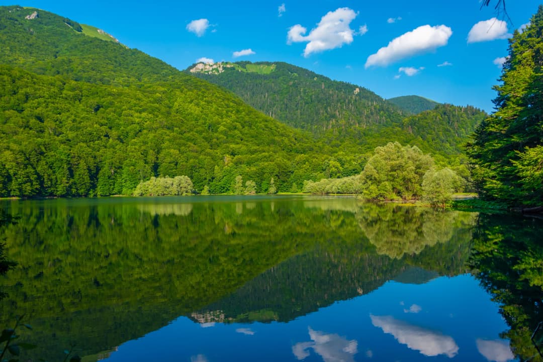 Biogradsko Jezero: Montenegro's Primeval Forest and Glacial Lake