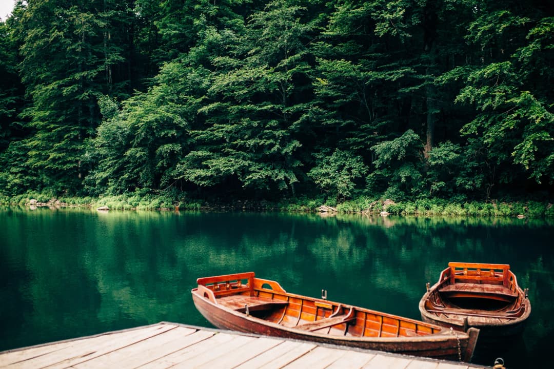 Biogradsko Jezero: Montenegro's Primeval Forest and Glacial Lake