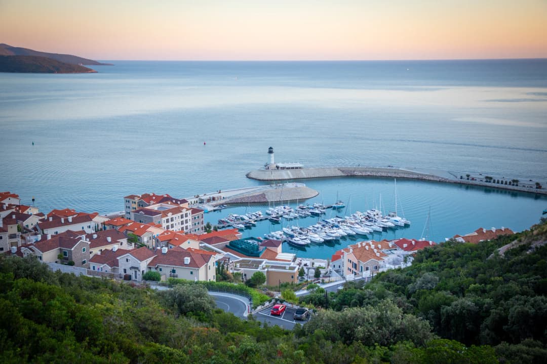 Rose, Montenegro