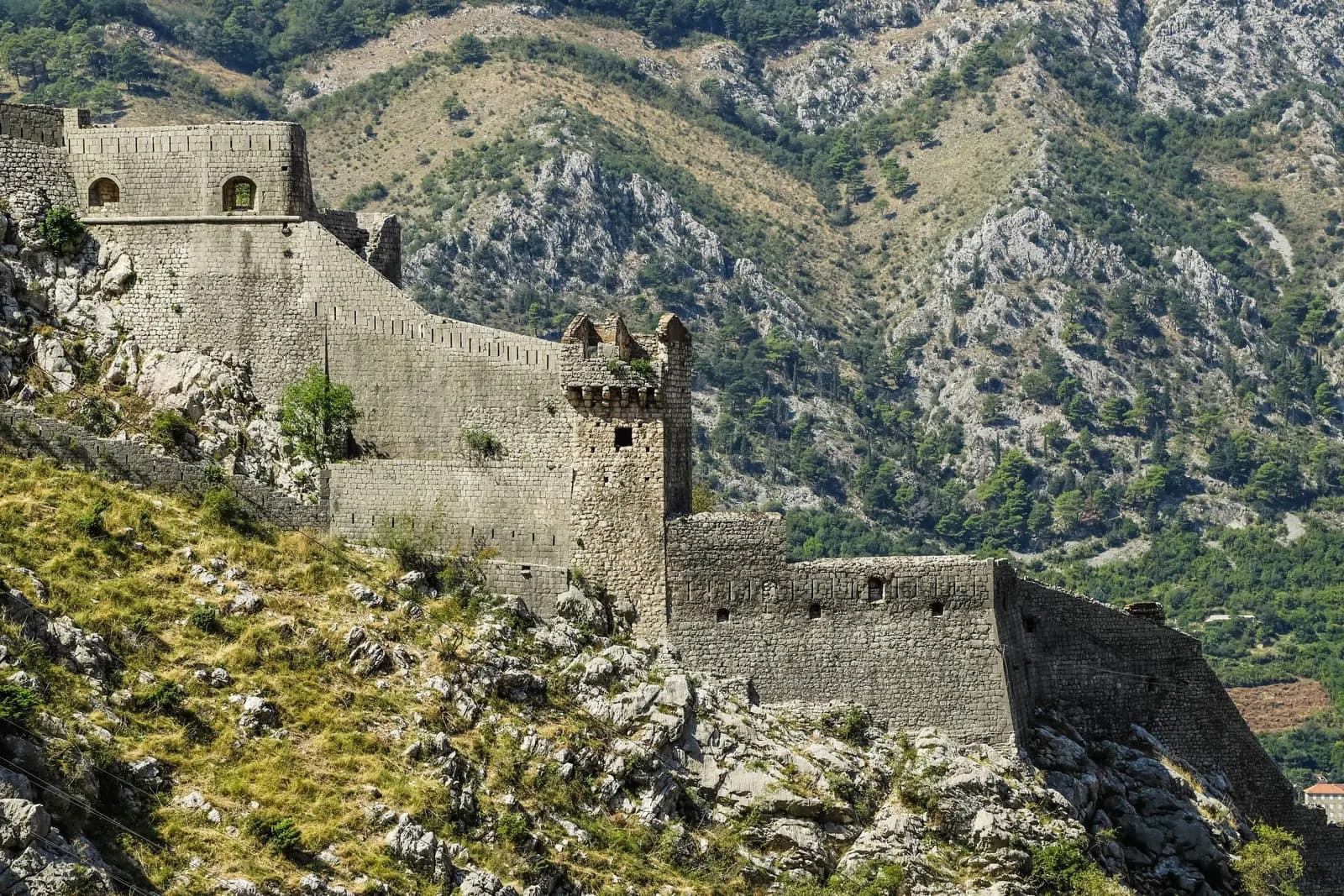 Kotor City Walls: Fortress Climb, History and 2026 Guide