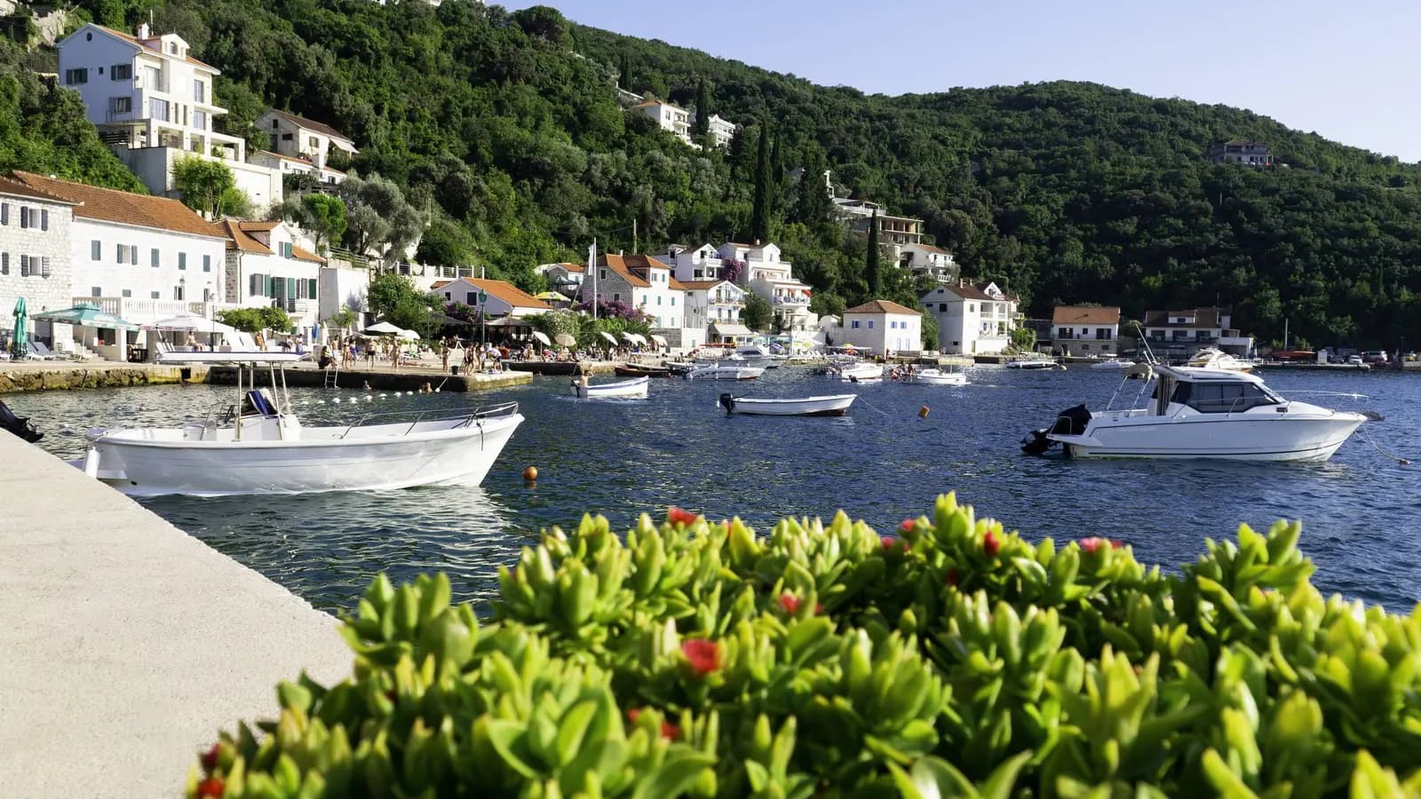 Rose na Luštici: mala luka na ulazu u Boku