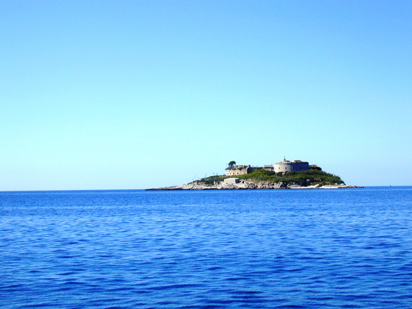 mamula