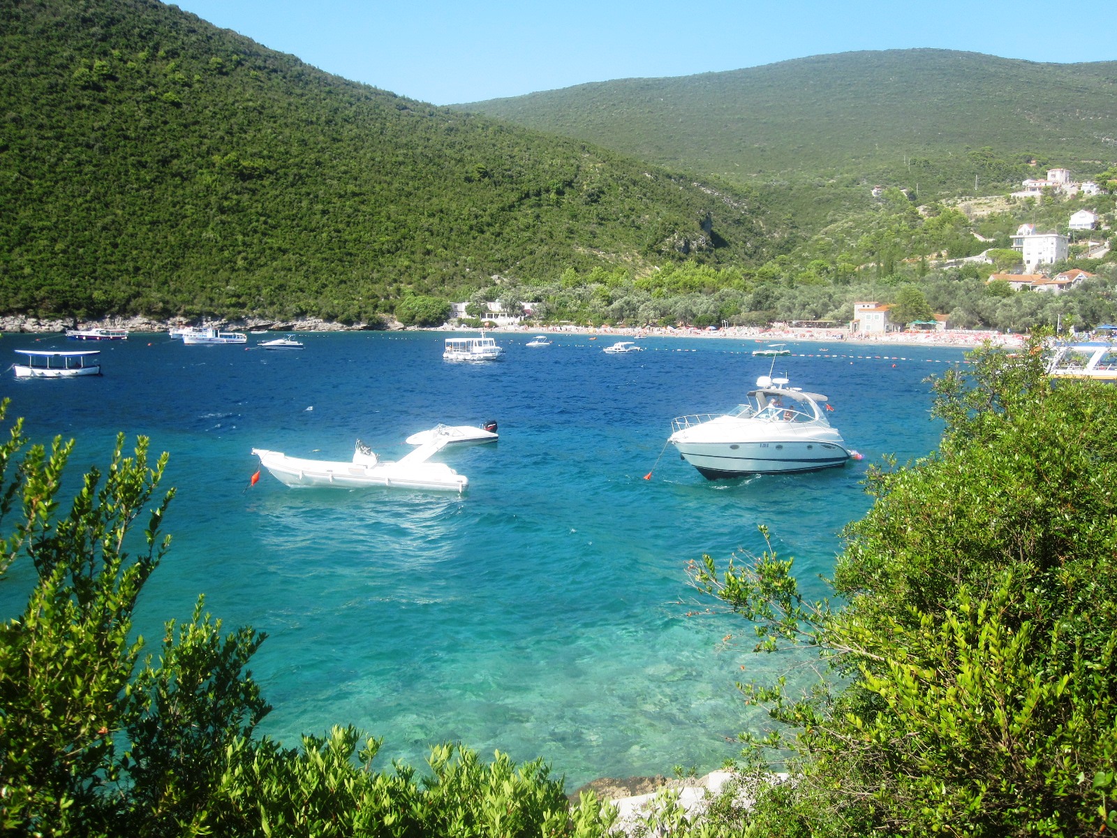 zanjice