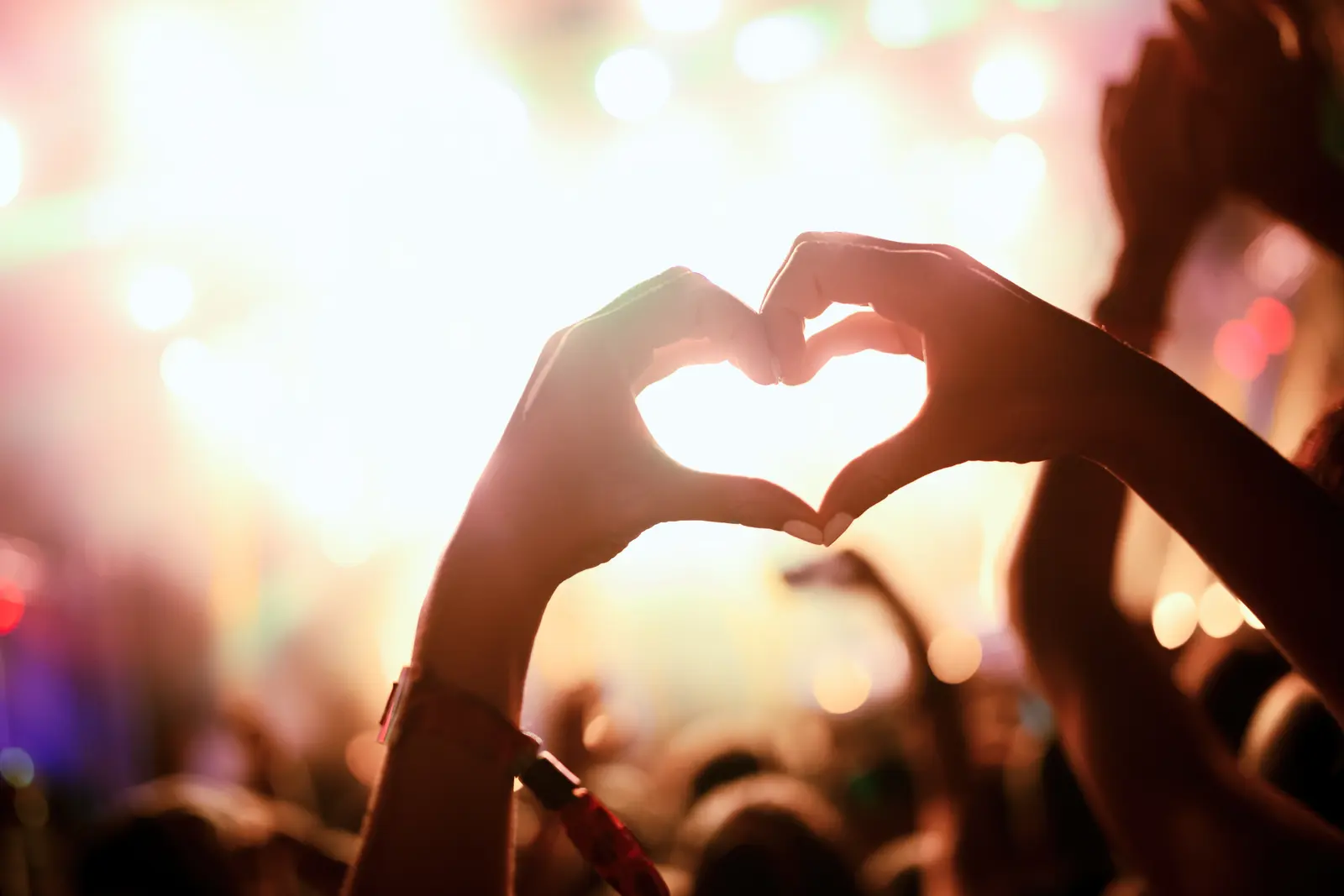 Festivals, Montenegro