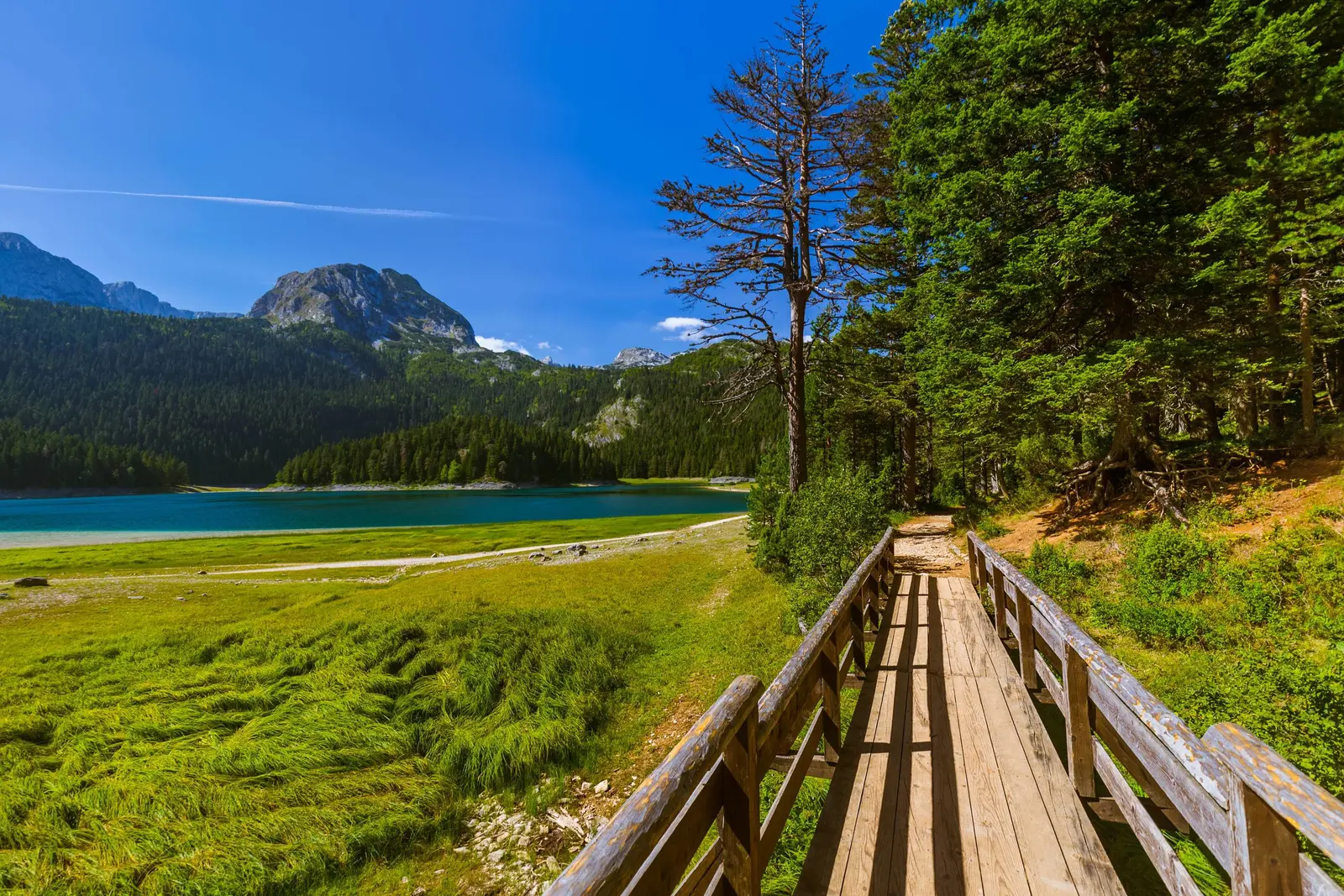 Staze, Montenegro