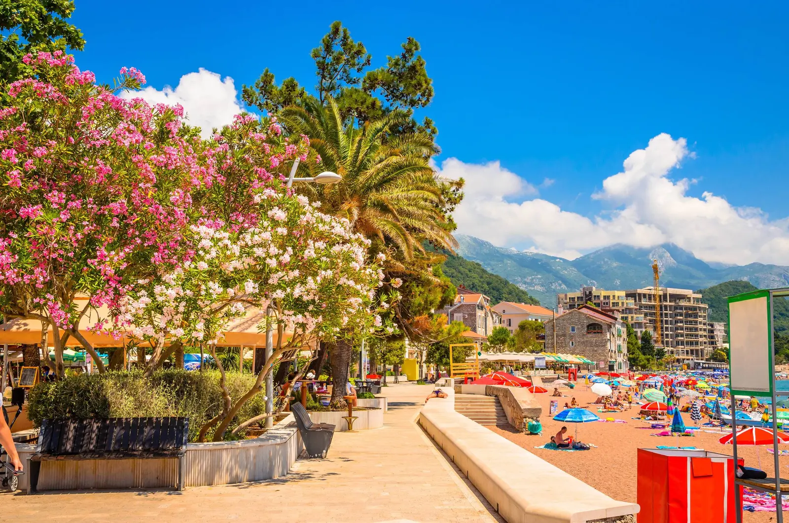 Petrovac Setaliste Montenegro
