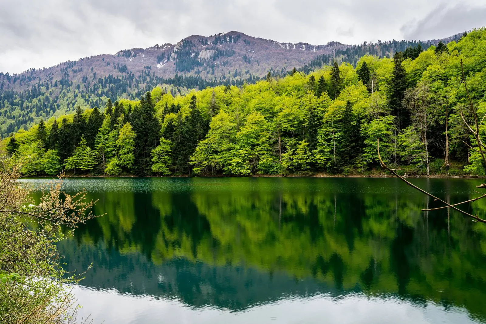 Bjelasica, Montenegro