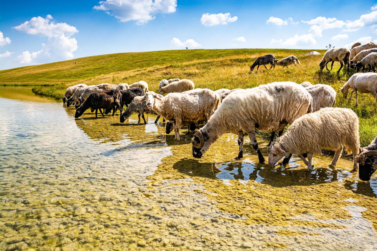 Durmitor, Montenegro
