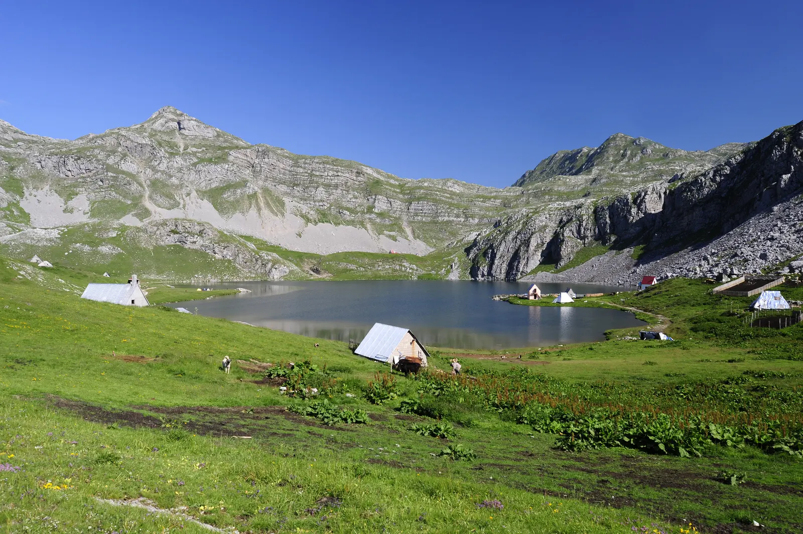 Slika, Montenegro