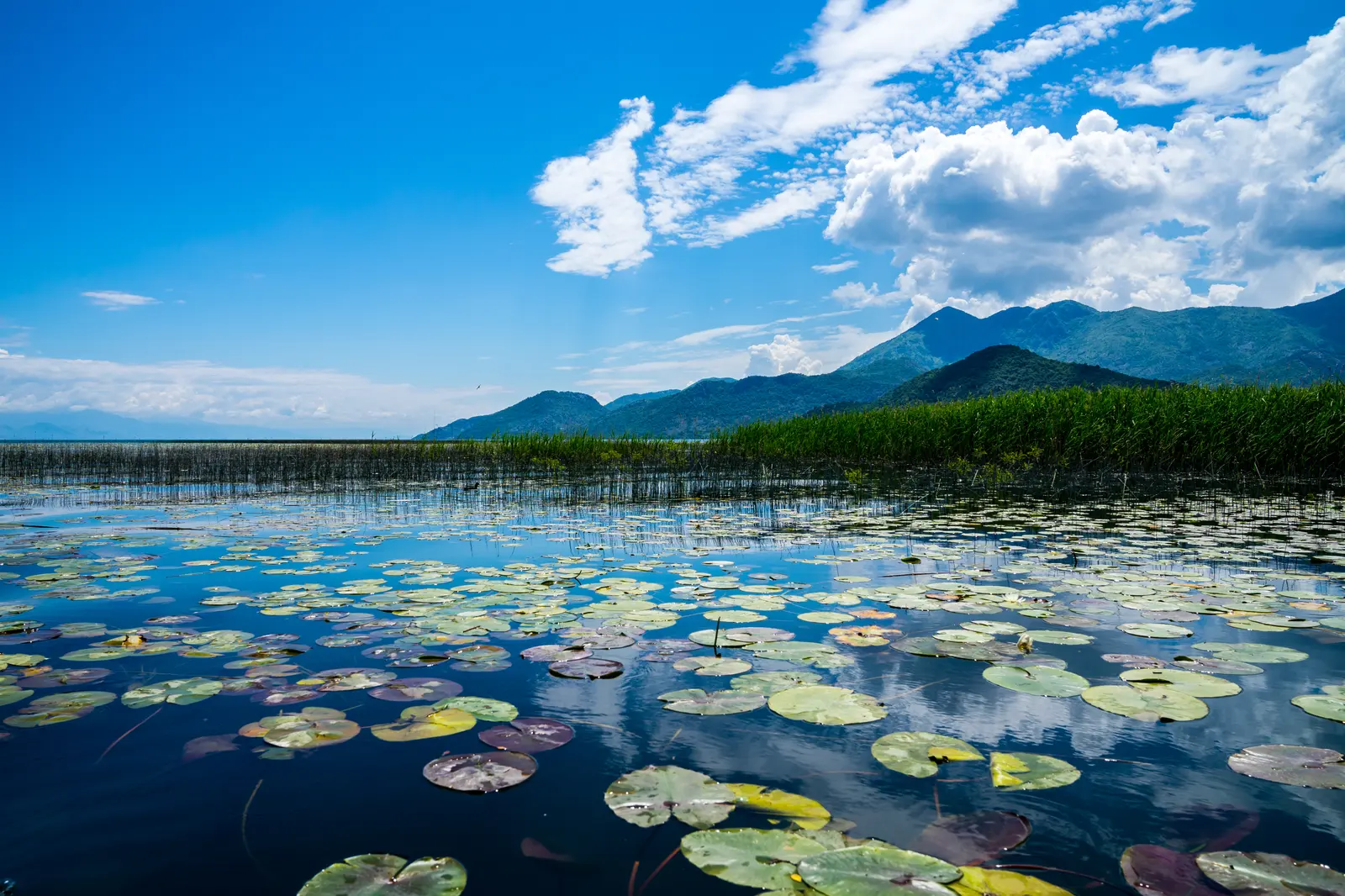 Skadar Lake Unique Places, Montenegro
