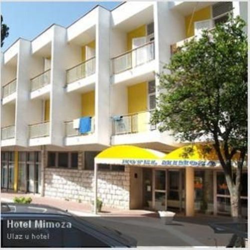 The Mimoza Hotel Company Photo 3