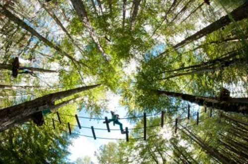 The Adventure Park - Lovcen  Photo 1