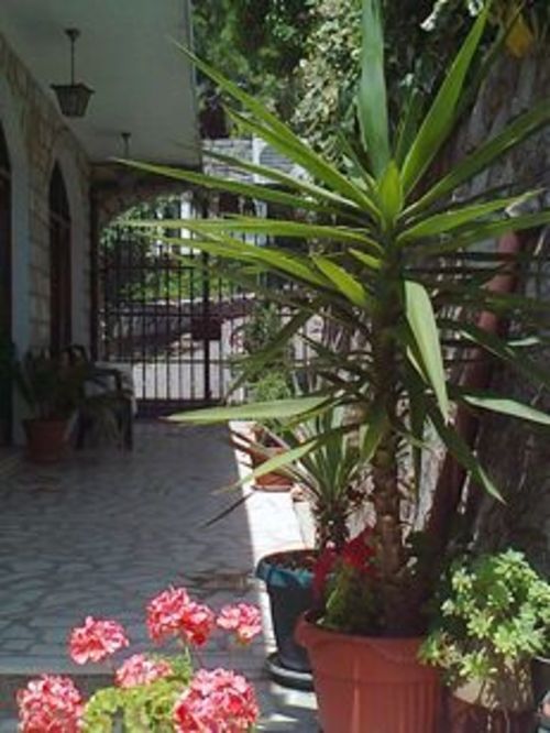 Apartmani Milić Photo 2