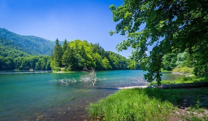 Nacionalni Park Biogradska