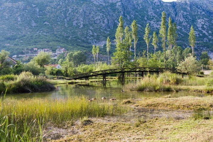 Photo 4 Morinj – Primorsko 