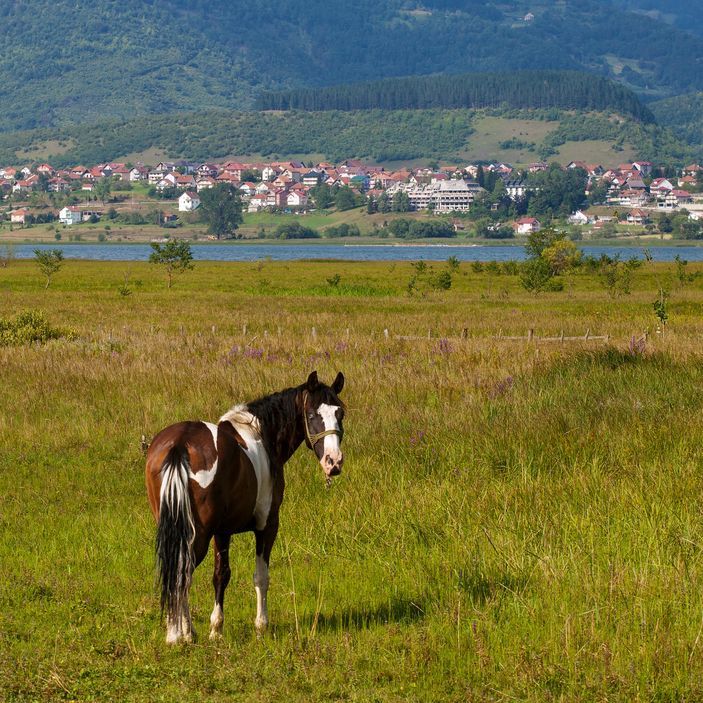 Photo 5 Plavsko Jezero i Ali-Pašini 