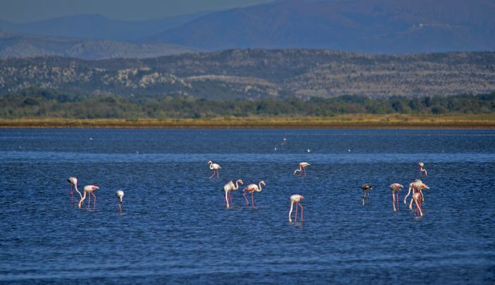 Photo 11 Улцињ Најбоље 