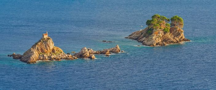 Photo 2 Петровац Топ 