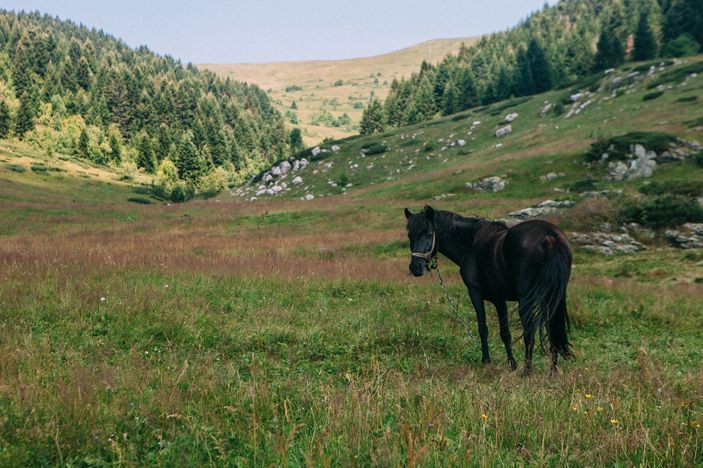 Photo 16 5 Дестинација 