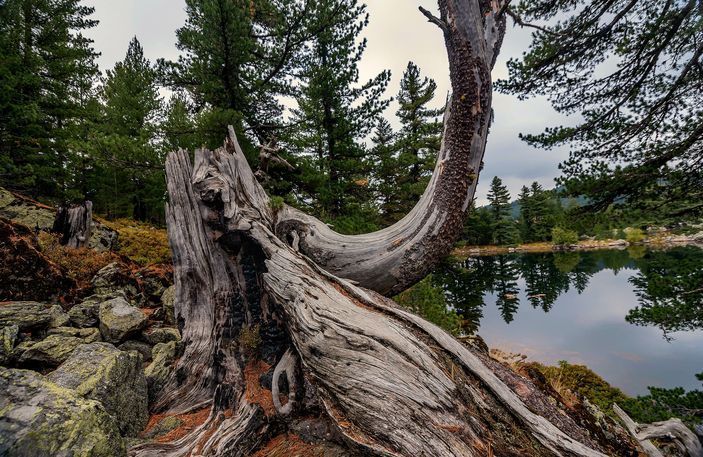 Photo 1 Hridsko Jezero