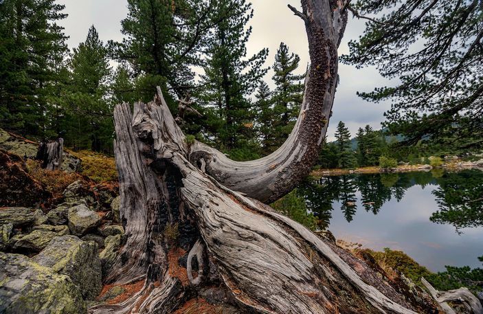 Photo 1 Hridsko Jezero 